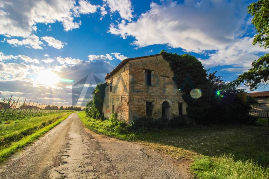 Immagine immobile