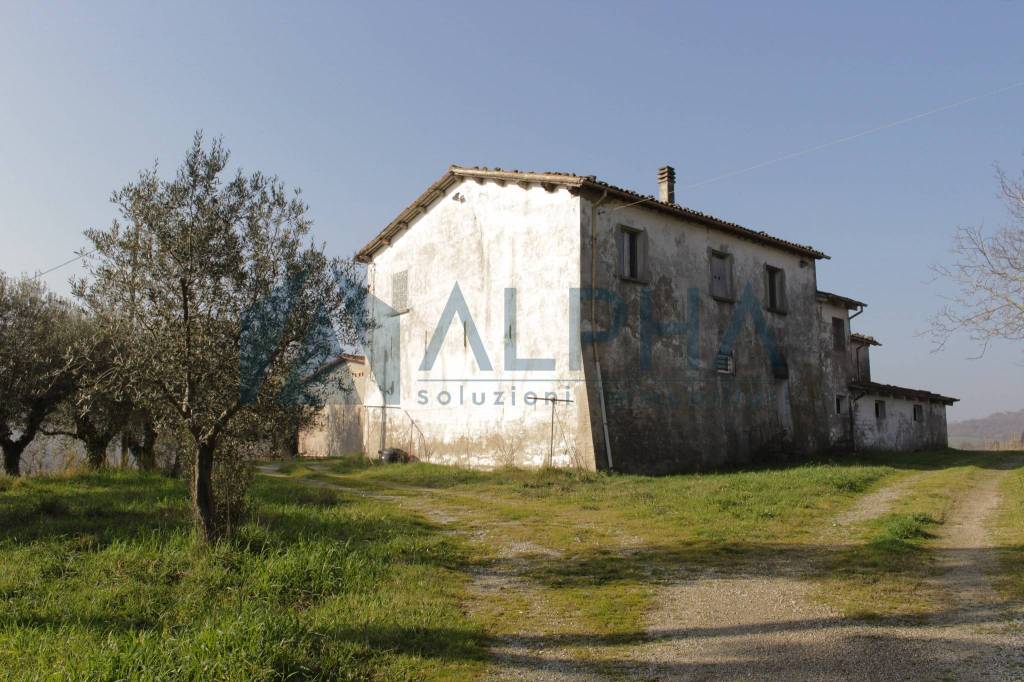 Immagine immobile