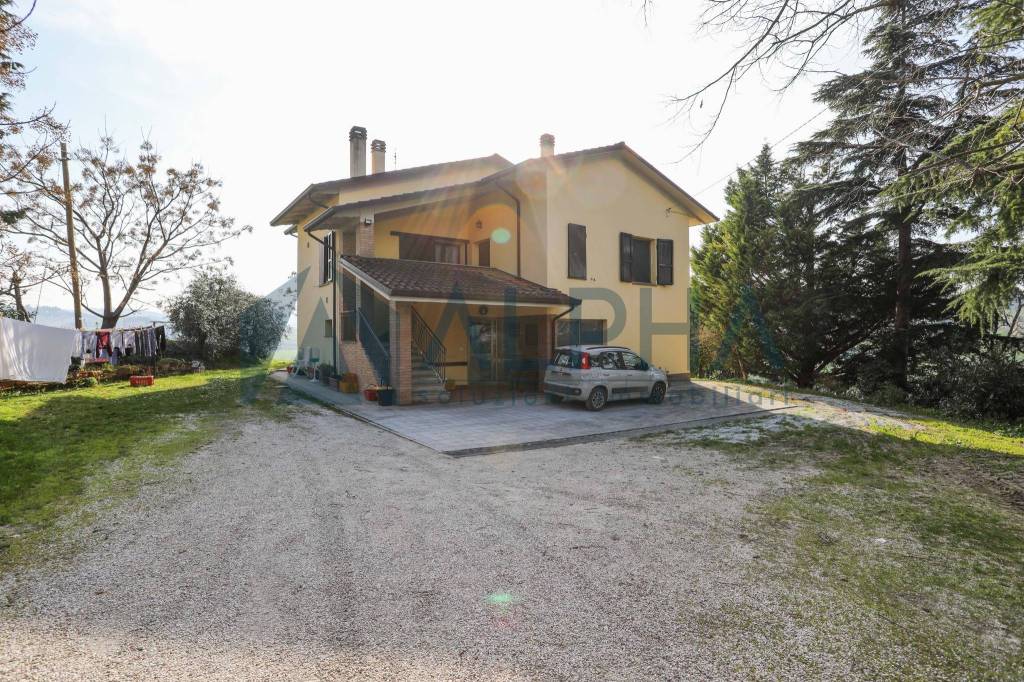 Immagine immobile